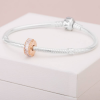 Кліпса Pandora Rose Крижана фігура